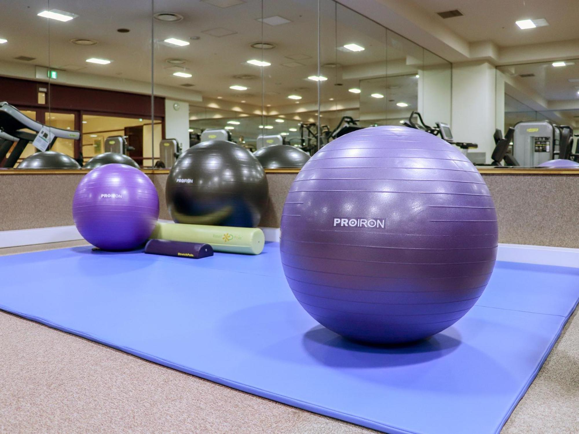 Premier Hotel -Tsubaki- Sapporo Exteriör bild Swiss exercise ball